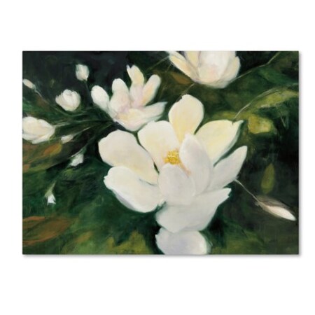 Julia Purinton 'Magnolia Blooms' Canvas Art,14x19